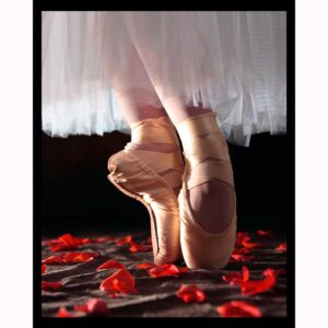 Ballet and Roses