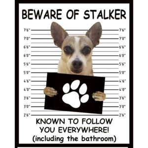 Beware of Stalker - Custom LED Light