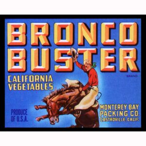 Bronco Buster