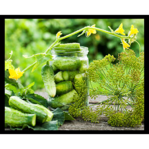Canning Cucumbers