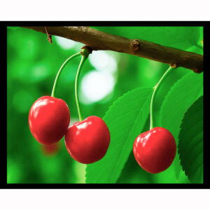 Cherries