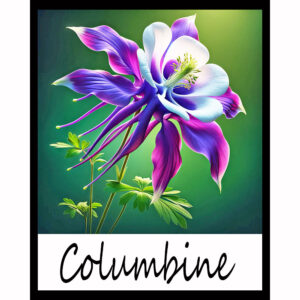 Flower Series: Columbine