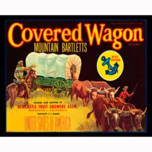 Covered Wagon