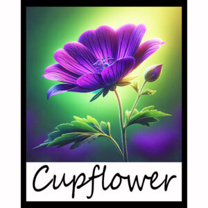 Flower Series: Cupflower