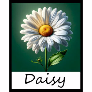 Flower Series: Daisy