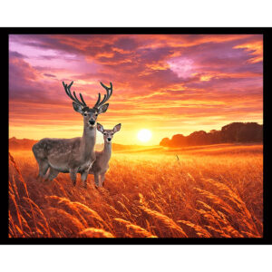 Deer Sunset