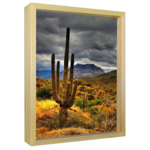 Desert Sunset - Sun Art Print