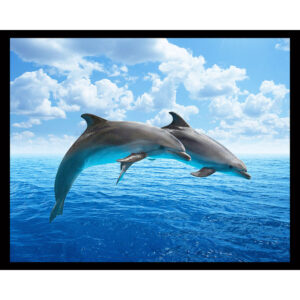 Dolphins Jumping