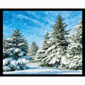 Fir Trees in Snow