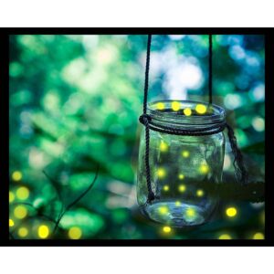 Firefly Jar
