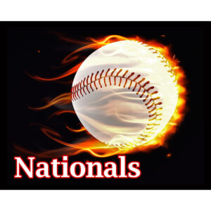 Flaming Baseball Nationals