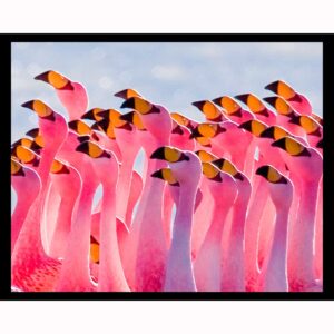 Flamingo Party