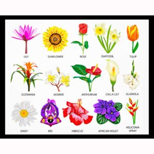 Flower Species