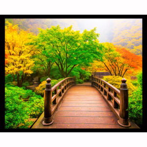 Foggy Autumn Morning