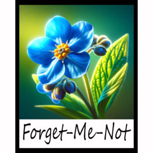 Flower Series: Forget-Me-Not
