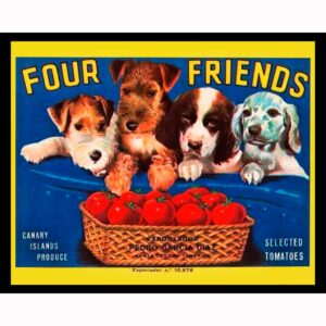 Four Friends Tomatoes