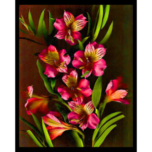 Organics - Garden Flowers