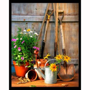 Garden Shed Tools