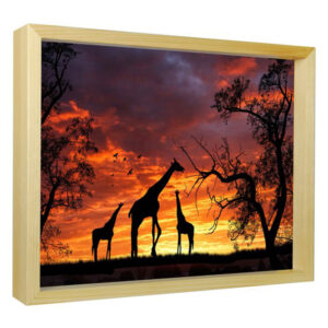 Giraffes at Sunset - Sun Art Print