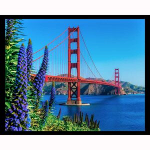 Golden Gate Bridge Summer