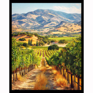 Golden Valley Vineyard