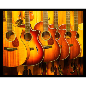 Guitar Display