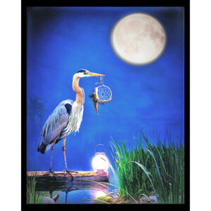 Heron Dream