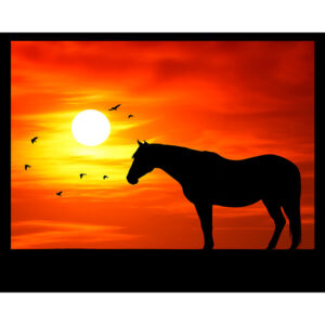 Horse Silhouette