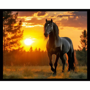 Horse Sunset