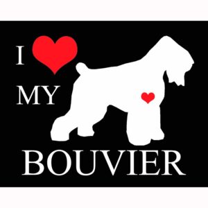 I Heart My Bouvier