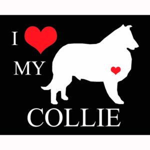 I Heart My Collie
