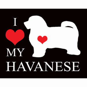 I Heart My Havanese