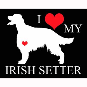I Heart My Irish Setter