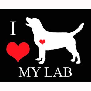 I Heart My Lab