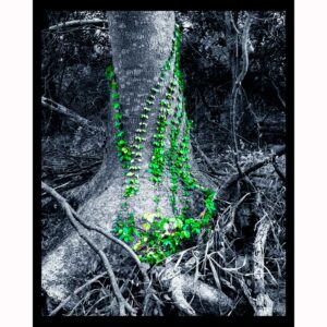 In the Grasp of Green