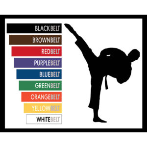 Karate Belts