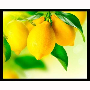 Lemon Tree