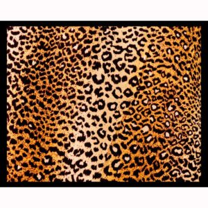 Leopard Print