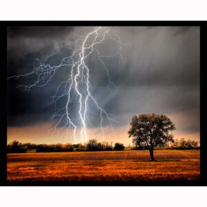 Lightning Over Field