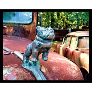 Mack Truck Hood Ornament