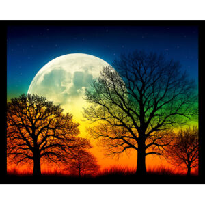 Moonlight Silhouette