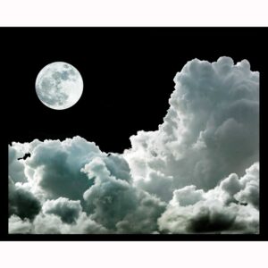 Moonlight in Black Clouds
