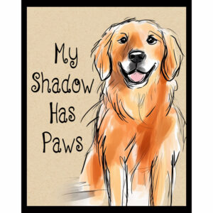 My Shadow Has Paws