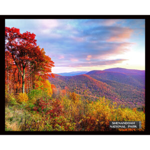 National Parks Series #26: Shenandoah National Park