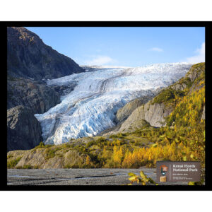 National Parks Series #30: Kenai Fjords National Park