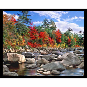 New England Fall Foliage