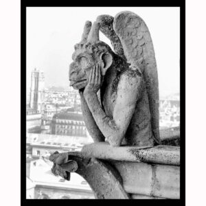 Notre Dame Gargoyle