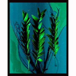 Organics - Blue Leaves