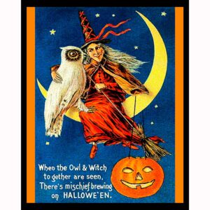 Owl and Witch