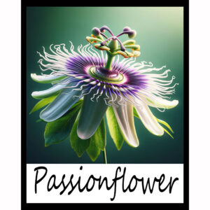 Flower Series: Passionflower